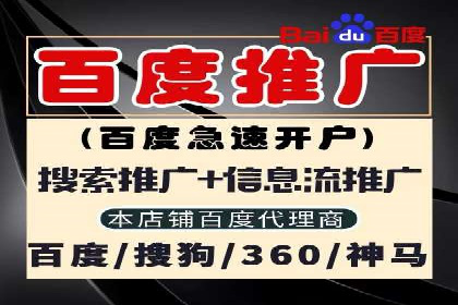 案例解析：SEM托管代运营团队风采